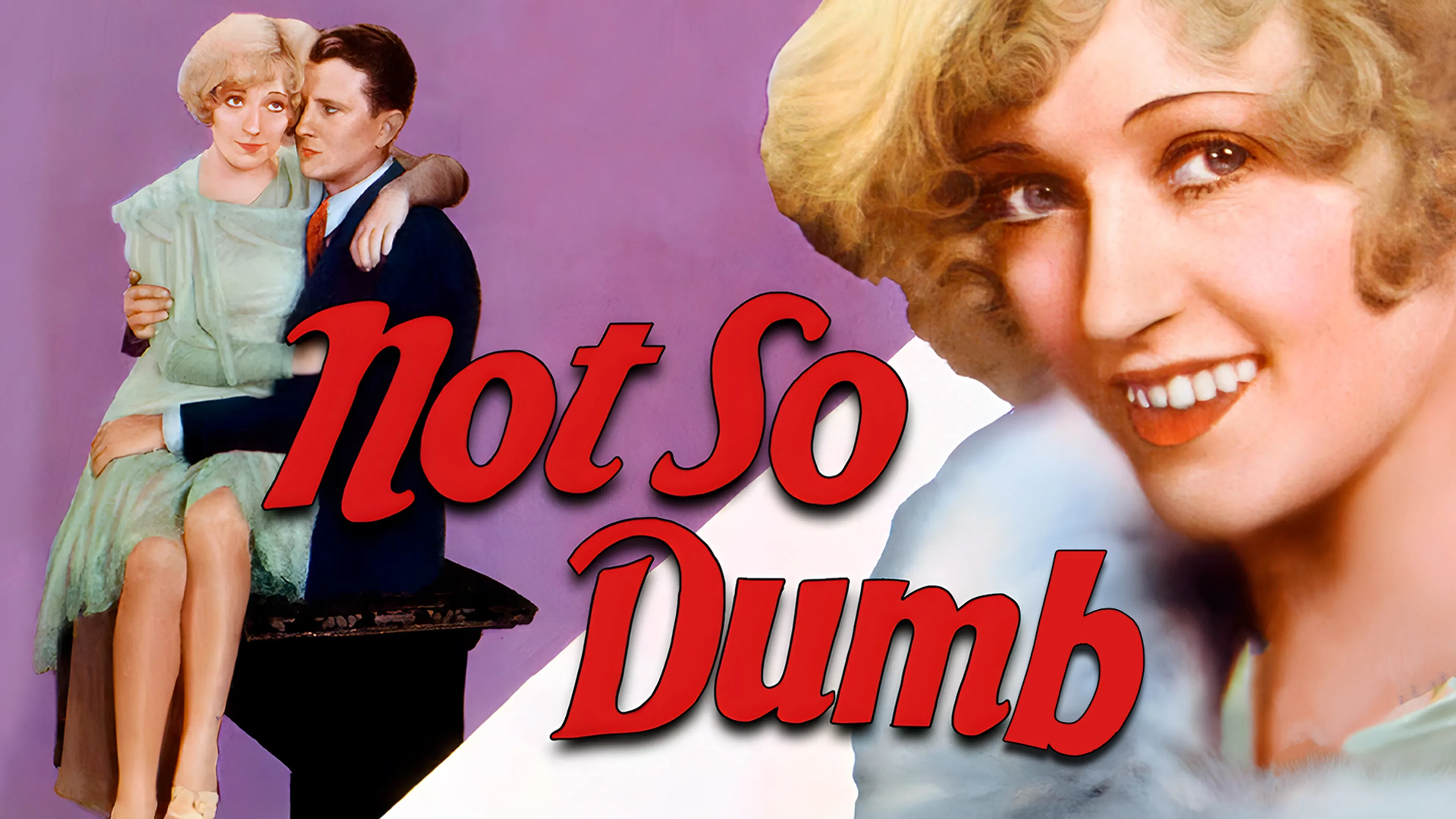 Not So Dumb poster